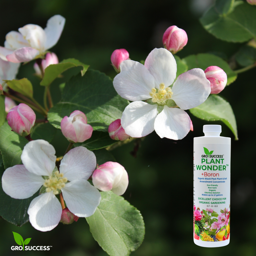 GroSuccess Plant Wonder™ + Boron