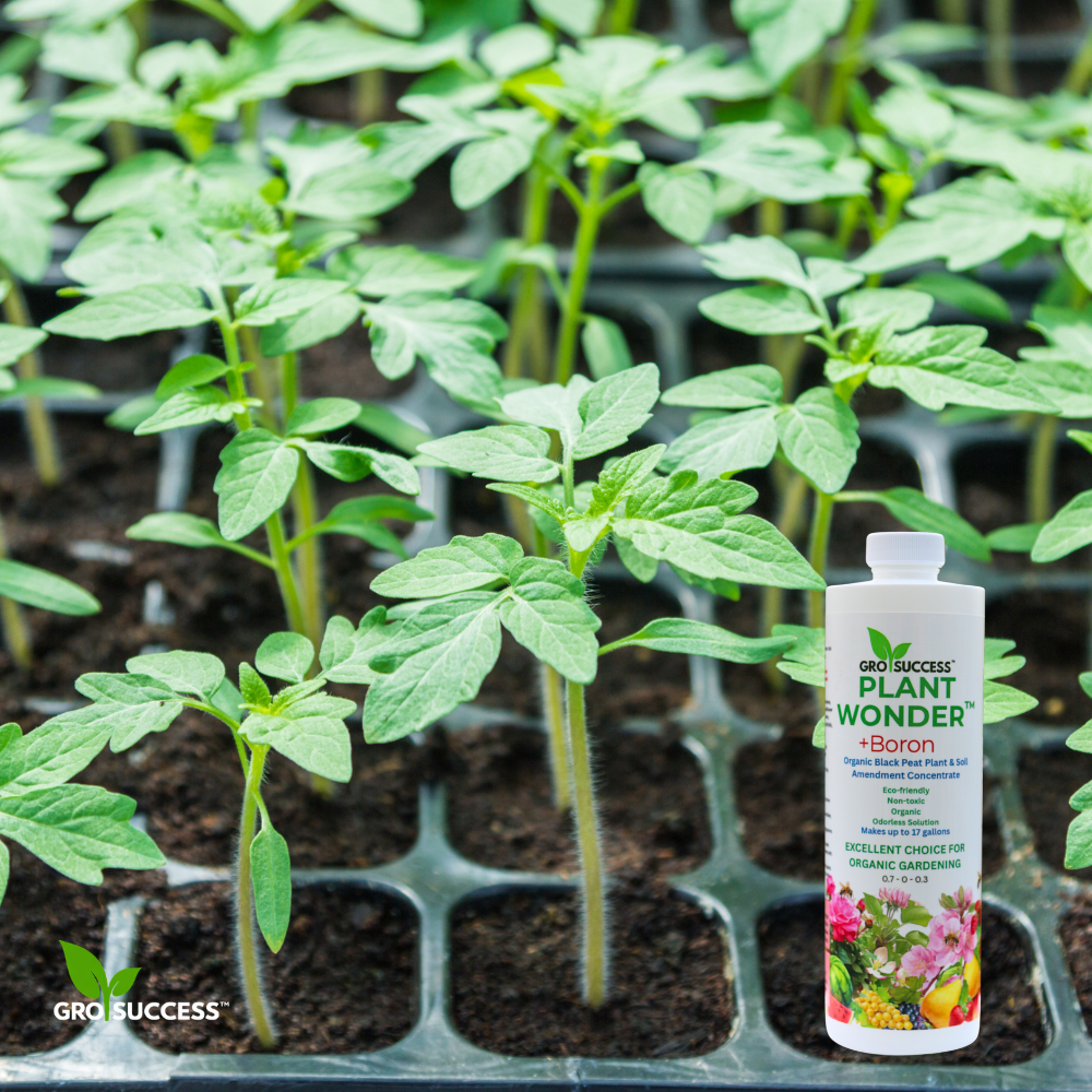 GroSuccess Plant Wonder™ + Boron